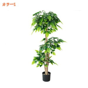 lHϗtA ^ tFCNO[ Ύ k ^ϗtA A A  t y tFCNO[ CeA  j ^  Ƃ̑ lHA  lHϗt