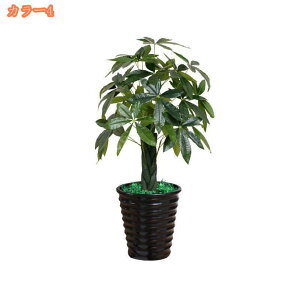 tFCNO[ ^ lHϗtA tFCNϗtA ^ A CeA  ItBX _ p lHϗtA sv bsv Vzj zj lHA 