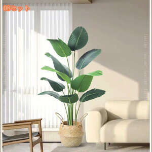 lHϗtA tFCNO[ ^ CeA A k A  rO ItBX  傫 A A rO[ K[f V~[VA ~ U̖ Vz