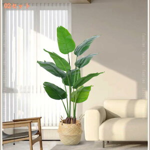 lHϗtA ^ tFCNO[ p p[eB[ AEghA  lHV̖ lHt MѐA nCA WOr[` EFfBOp[eB[ Ƃ̌ rO[ Q