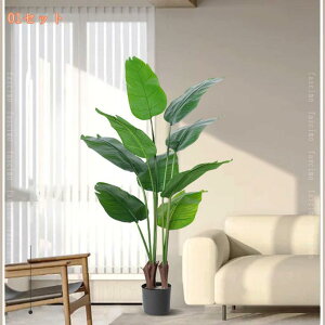 lHϗtA ^ tFCNO[ p p[eB[ AEghA  lHV̖ lHt MѐA nCA WOr[` EFfBOp[eB[ Ƃ̌ rO[ Q