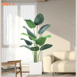 1000~OFFN[| tFCNO[ Ύ lHϗA ^ A lHϗt Vv ItBX  CeA  ډB p gsJA ̓ j a 蕨