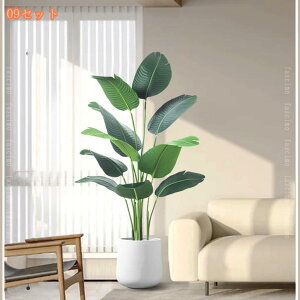 tFCNO[ Ύ lHϗA ^ A lHϗt Vv ItBX  CeA  ډB p gsJA ̓ j a 蕨 JXj JƏj