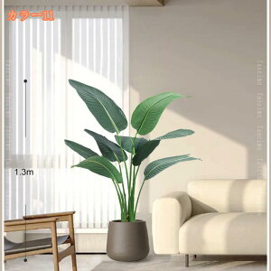 1000~OFFN[| tFCNO[ lHϗtA ^  ItBX A A lHϗtA  CeA  ItBX  X  Vz zj { tF