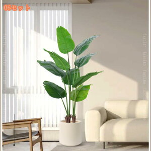 ^ lHϗtA tFCNO[ tFCN Mъϗt ȒPb炸 t CeA  rO ItBX b炸 sv A Iȑ z̃Mtg Ce