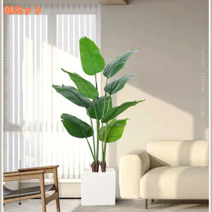 lHϗtA ^ tFCNO[ p p[eB[ AEghA  lHV̖ lHt MѐA nCA WOr[` EFfBOp[eB[ Ƃ̌ rO[ Q