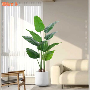 lHϗtA ^ tFCNO[ p p[eB[ AEghA  lHV̖ lHt MѐA nCA WOr[` EFfBOp[eB[ Ƃ̌ rO[ Q