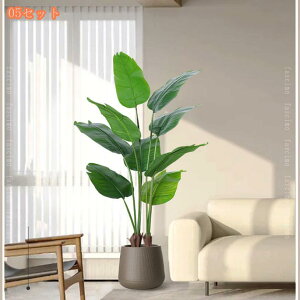 lHϗtA ^ tFCNO[ p p[eB[ AEghA  lHV̖ lHt MѐA nCA WOr[` EFfBOp[eB[ Ƃ̌ rO[ Q