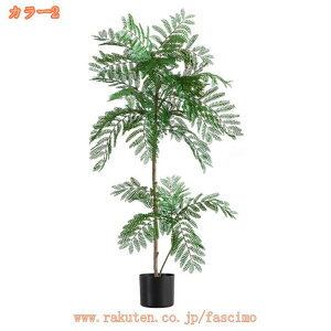 lHϗtA {  ϗtA ȒPb炸 sv tFCNO[ A  t A ܂Ŗ{ IV ZX̂ 킢 lHϗtA 3D̗t