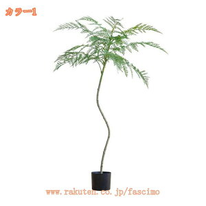 lHϗtA {  ϗtA ȒPb炸 sv tFCNO[ A  t A ܂Ŗ{ IV ZX̂ 킢 lHϗtA 3D̗t