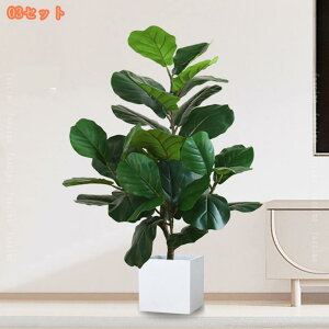 lHϗtA ^ lH tFCNO[ CeA  OtFCNA  lHϗtA   rO[ Q ItBX  傫 ϗt tFCNO[ I 