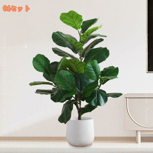 lHϗtA ^ tFCNO[ Ύ k ^ϗtA A A  t y tFCNO[ CeA  j ^  Ƃ̑ lHA  lHϗt