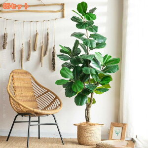 lHϗtA ^ tFCNO[ Ύ k ^ϗtA A A  t y tFCNO[ CeA  j ^  Ƃ̑ lHA  lHϗt