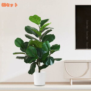 lHϗtA ^ lH tFCNO[ CeA  OtFCNA  lHϗtA   rO[ Q ItBX  傫 ϗt tFCNO[ I 