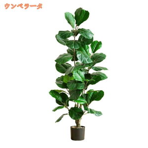 lHϗtA Ύ tFCNO[ ^ ϗtA y tFCNO[  a m ItBX ܂ Q X JXj lHϗtA CeA { tFC