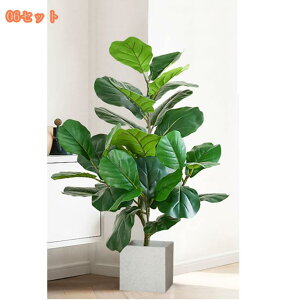 tFCNO[ ^  lHϗtA ɒuA  lHϗtA ɏA 킢  rO  Ηt A p 傫 傫  tFCNO[