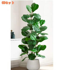 2000~OFFN[| tFCNO[ ^  lHϗtA ɒuA  lHϗtA ɏA 킢  rO  Ηt A p 傫 傫 