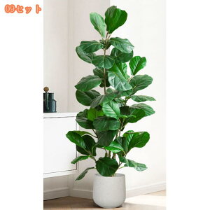 1000~OFFN[| tFCNO[ ^  lHϗtA ɒuA  lHϗtA ɏA 킢  rO  Ηt A p 傫 傫 