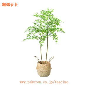 Ύ lHϗtA { 3D̗t ډB ϗtA ȒPb炸 sv tFCNO[ A  t A ܂Ŗ{ IV ZX̂ 킢 lH