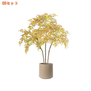 tFCNO[ ^ lHϗtA ϗtA A  CeA X GgX c ItBX Ή EP  ze [ JXj JƏj ȒP 