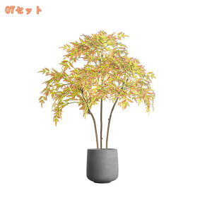 1000~OFFN[| tFCNO[ ^ lHϗtA ϗtA A  CeA X GgX c ItBX Ή EP  ze [ JXj JƏj 