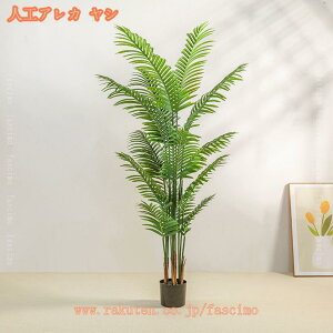 tFCNO[ ^ lHϗtA  tFCNϗtA ^ A CeA  ItBX _ p lHϗtA sv bsv Vzj zj lHA