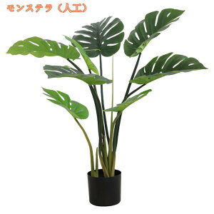 lHϗtA ^ tFCNO[ ډB 킢 {  gC CeA ͂Ȃ sv ʏ  tFCNO[ ze  ItBX gsJ 