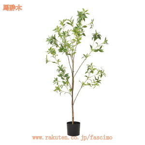 1000~OFFN[| Ύ tFCNO[ ^ lHϗtAlH A {ɂ   z[ x_ rO ^  p ȒP sv Q̐Sz