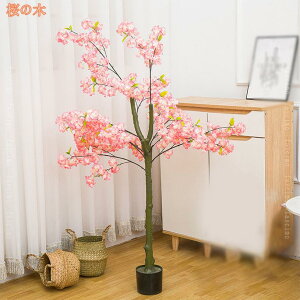 Ύ lHϗtA tFCNO[ lHϗtA CeA ϗt tFCNO[ CeA  rO ItBX  傫 A ȒPb炸 sv 邭u