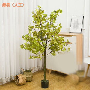 lHϗtA tFCNO[ ^ lH ډB tFCNA  O a m ItBX rO  Q lHϗtA CeA tFCNO[ i` 