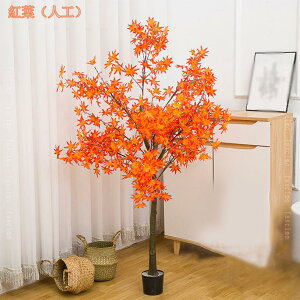 lHϗtA tFCNO[ ^ lH ډB tFCNA  O a m ItBX rO  Q lHϗtA CeA tFCNO[ i` 