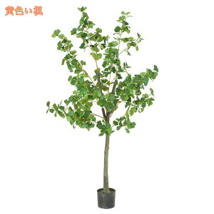 1000~OFFN[| tFCNO[ ^ Ύ lHϗtA CeA ډB |bgt ̐bsv ȒPb炸 a m ItBX ܂ rO X JX J j