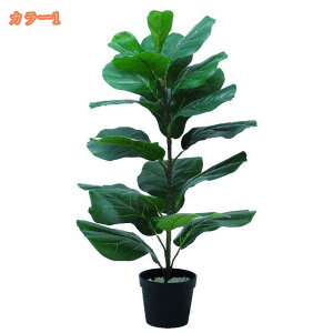 { lHϗtA ^ tFCNO[ ϗA lHϗt ^ϗtA p  Vv ItBX  CeA ^   tFCNA lHA j 