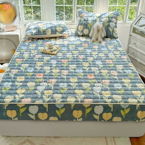 500~OFFN[| ~pbh {bNXV[c ̌^ VO ~p xbhV[c k  }bgXJo[ ~zcp 􂦂 xbhpbh Z~_u tl ~Mۉ }bg