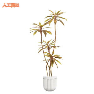 lHϗt lHϗtA tFCNO[ ^ { tFCNϗtA Vv  b炸 sv ItBX  CeA z[ fR[V A z