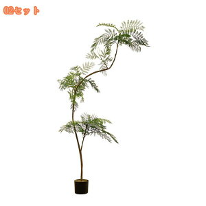 2000~OFFN[| lHϗtA Ύ i` lHA tFCNO[ 傫 ^ CeAO[ lHϗt A[gO[ rO JXj e@ p sv 