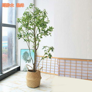 1000~OFFN[| lHϗtA Ύ i` lHA tFCNO[ 傫 ^ CeAO[ lHϗt A[gO[ rO JXj e@ p sv 