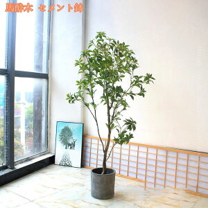 lHA lHϗtA CeAO[ ϗtA lHA ^ tFCNO[ lHϗtA 傫 ItBX  Z ItBX Xܗp Ɩp P A zj Vz