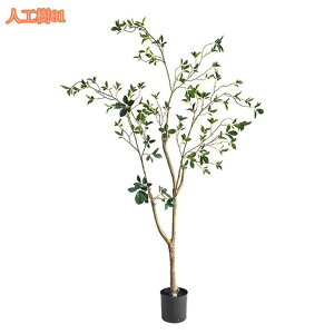 lHϗtA ډB tFCNO[ ^ lHA CeA lHϗtA tFCNt rO tFCNO[ lHϗtA tFCNO[ j v[g Mtg zj