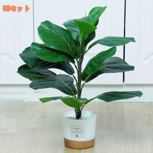 tFCNO[ ϗA lHϗt ϗtA Vv tFCNϗtA ^ lHϗtA p ItBX  CeA  CeA tFCNO[ j 