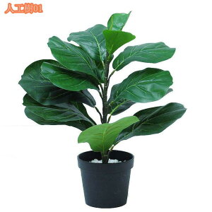 tFCNO[ ϗA lHϗt ϗtA Vv tFCNϗtA ^ lHϗtA p ItBX  CeA  CeA tFCNO[ j 