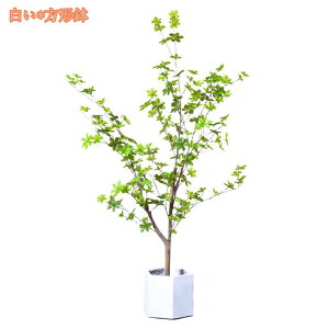 tFCNO[ ϗA lHϗt ϗtA Vv tFCNϗtA ^ lHϗtA p ItBX  CeA  CeA tFCNO[ j ̓