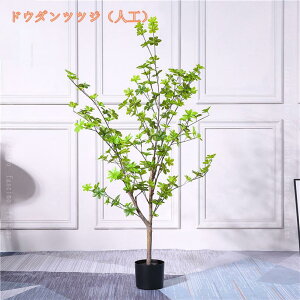 tFCNO[ ϗA lHϗt ϗtA Vv tFCNϗtA ^ lHϗtA p ItBX  CeA  CeA tFCNO[ j ̓