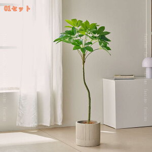 2000~OFFN[| tFCNO[ lHϗtA  A lHϗtA lHA CeA rO  JX 킢 Lb` rO _CjO Q Mtg 蕨 Ce