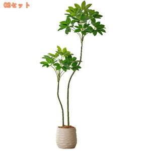 lHϗtA tFCNO[ A tFCNϗtA lHϗtA tFCNO[  IV ZX̂ Pb炸 sv 킢 Ύ CeA t ܂