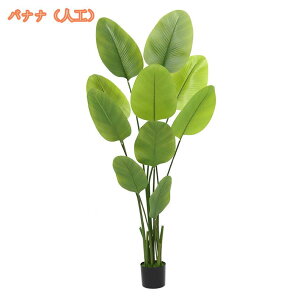 lHϗtA CeA tFCNO[ ^  킢 sv  Lb` rO _CjO Q A A CeA j JX JƏj y tFCNO