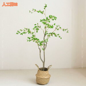 tFCNO[ ϗA lHϗt ϗtA Vv tFCNϗtA ^ lHϗtA p ItBX  CeA  CeA tFCNO[ j 