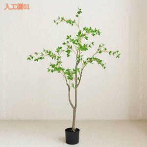 tFCNO[ ϗA lHϗt ϗtA Vv tFCNϗtA ^ lHϗtA p ItBX  CeA  CeA tFCNO[ j 