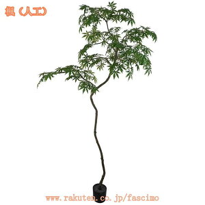 1000~OFFN[| lHϗA A[gO[ ϗtA tFCN O[ ϗtA CeA Ύ i` lHϗtA tFCN lHϗtA ϗtA Vv tFCNO[