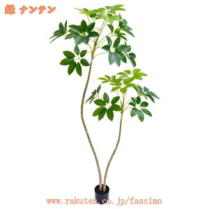 lHϗtA ډB tFCNO[ ^ lHA CeA lHϗtA tFCNt rO tFCNO[ lHϗtA tFCNO[ j v[g Mtg zj